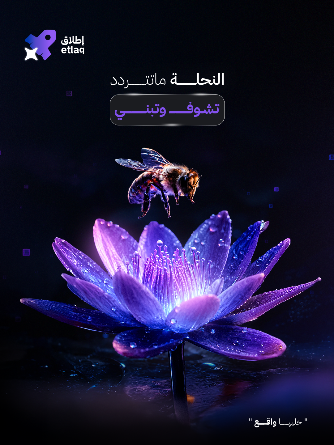 إطلاق — المنصة قاعدة تكبر